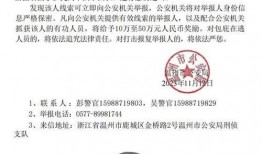 缅北最新爆料消息视频大全,视频大全深度解析